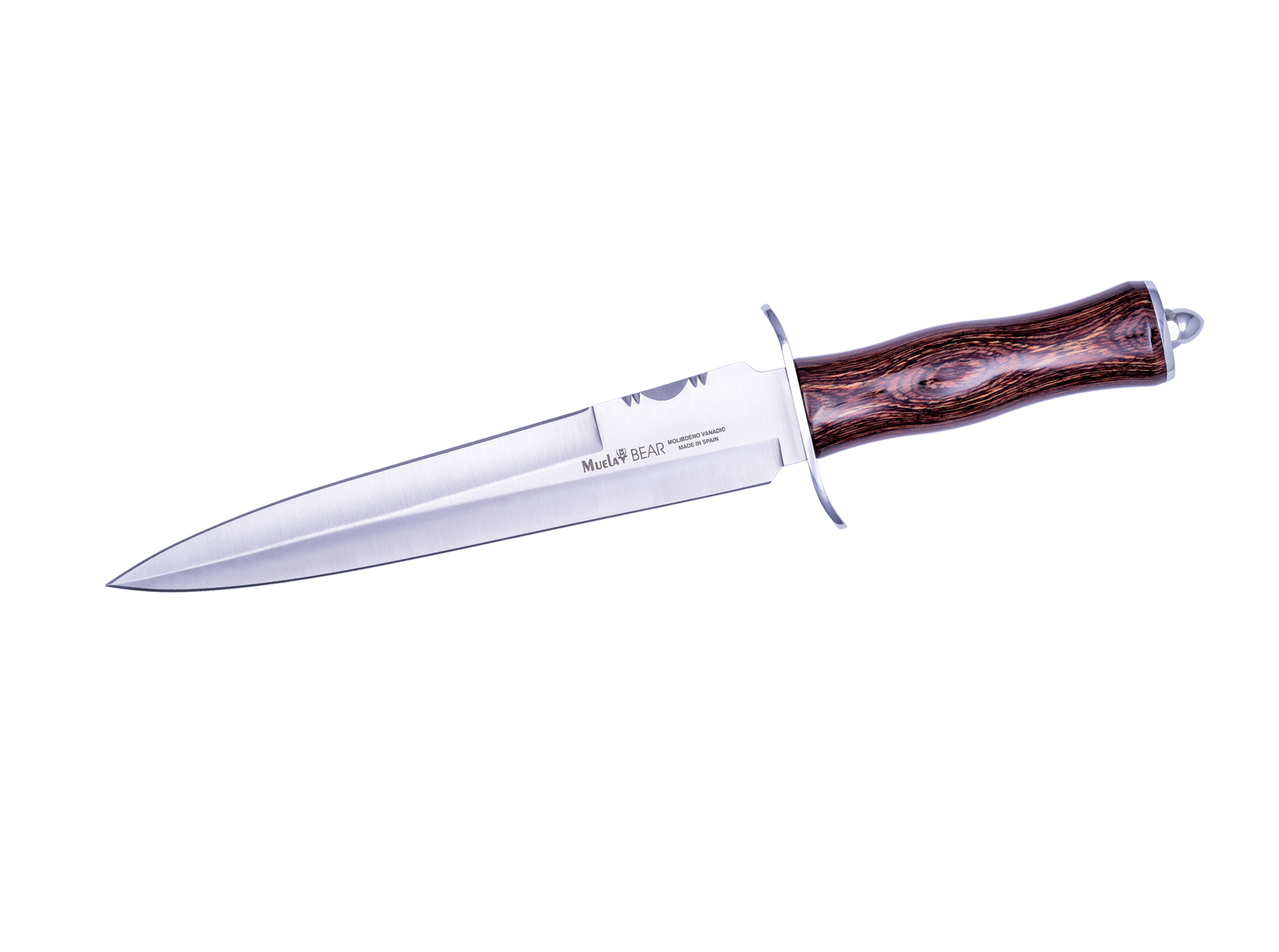 BEAR-24R