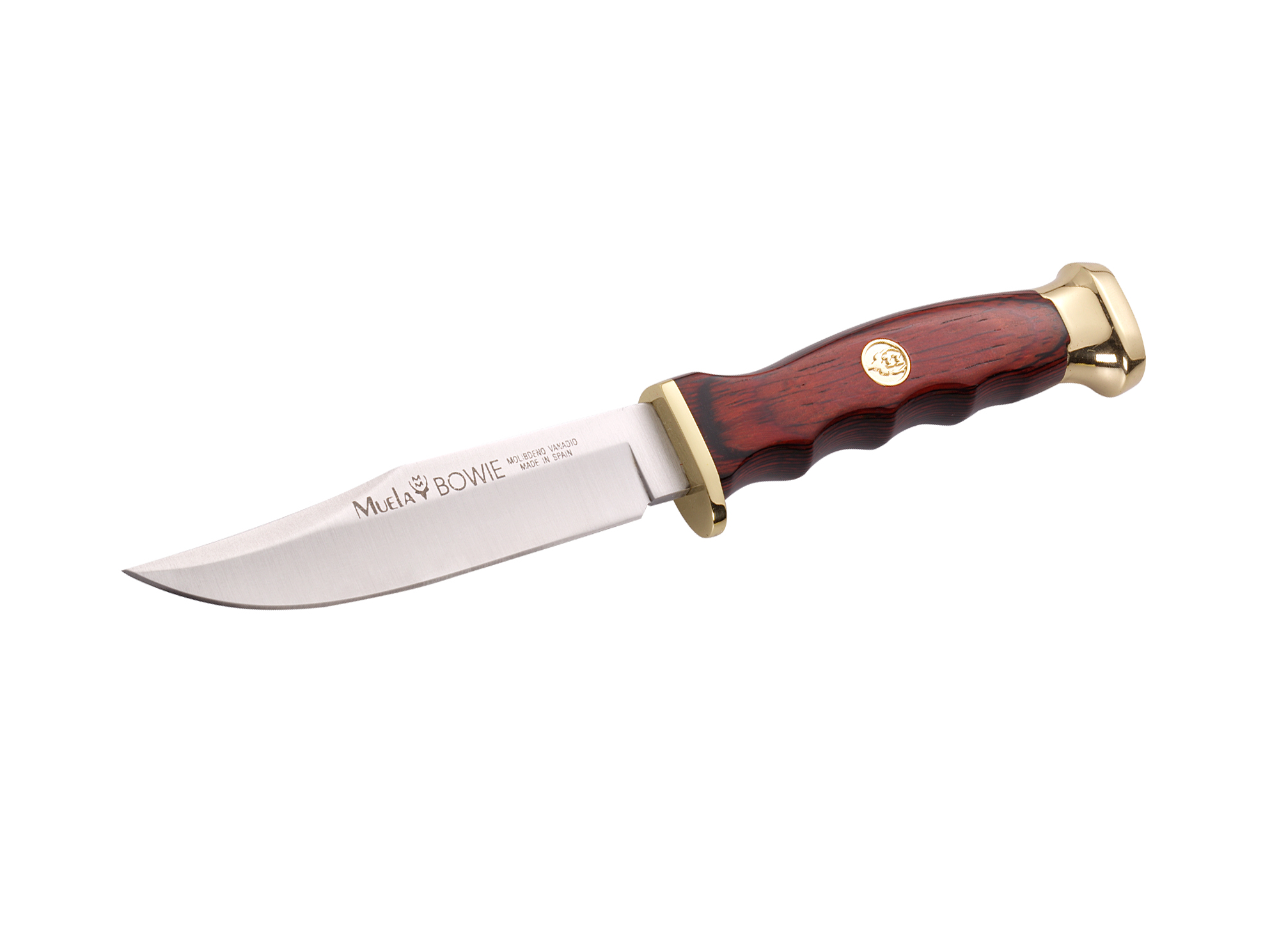 BWF-10