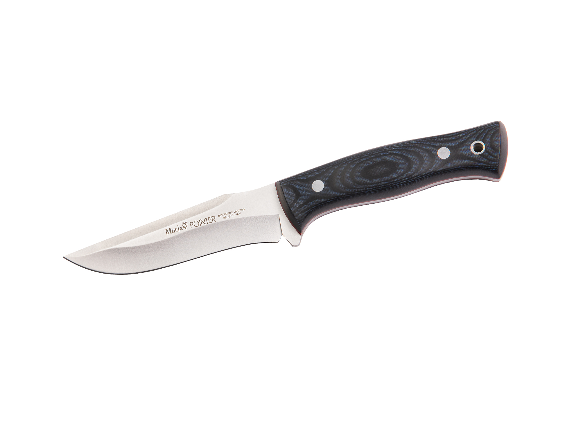 POINTER-12M