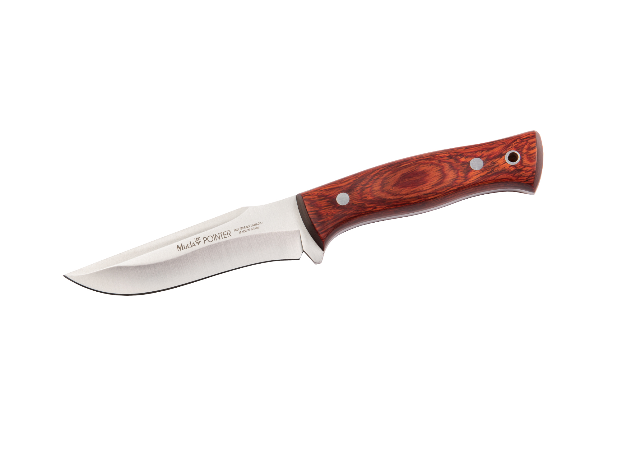 POINTER-12R