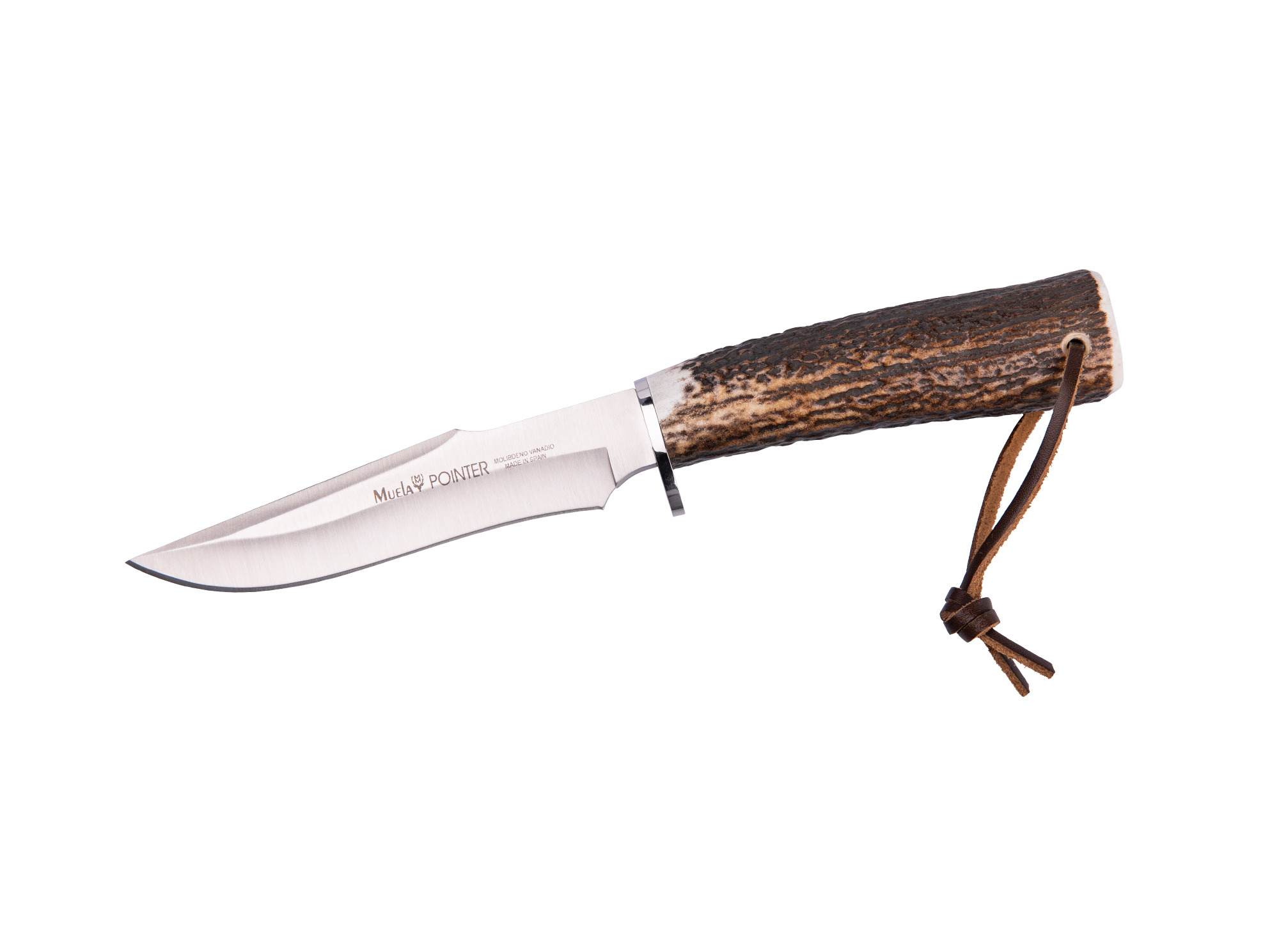 POINTER-13A