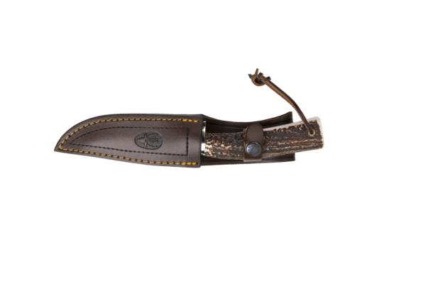 POINTER-13A - Imagen 2