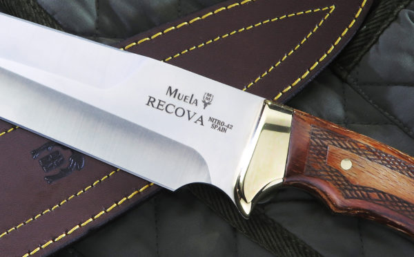 RECOVA - Imagen 2