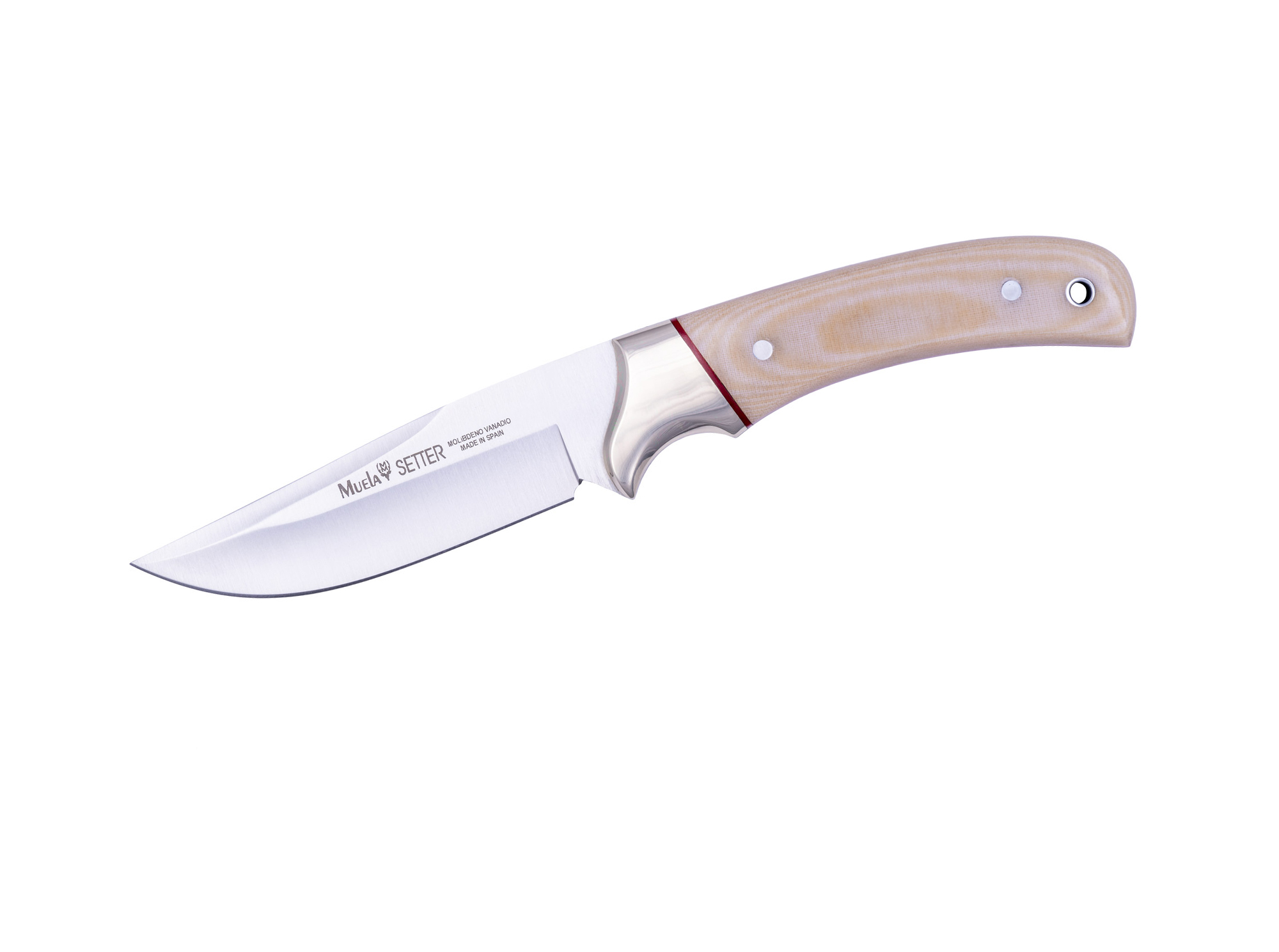 SETTER-11B
