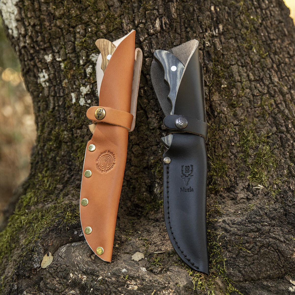 Nuevos OUTDOOR-12 perfectos para aventureros.